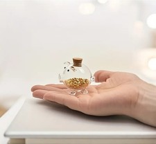 *NEW* Mini Glass Piggy Bank