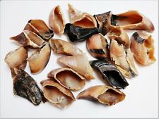 DriedDogTreats 20 Large EMPTY