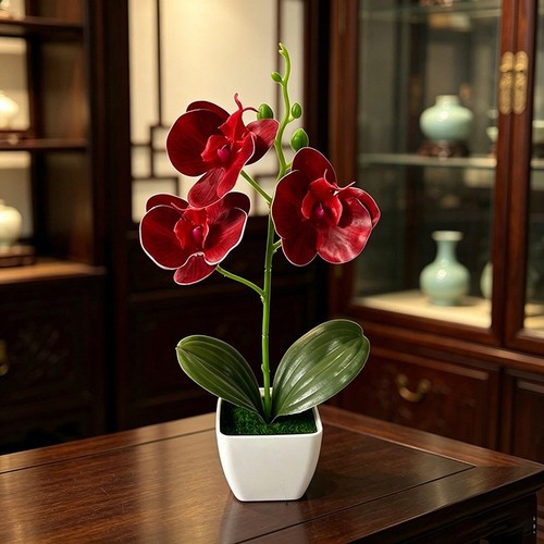 Artificial phalaenopsis orchid - phalaenopsis,