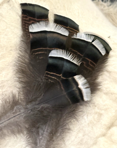 5pcs 17cm natural - 17cm, turkey