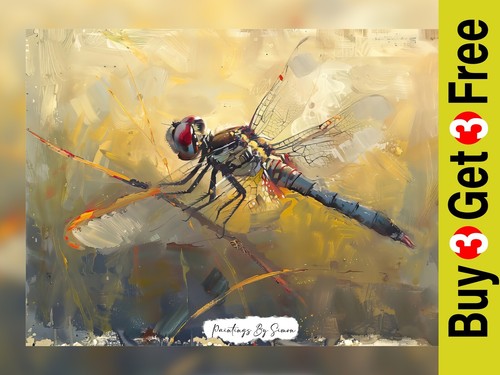 Graceful oil dragonfly - graceful,