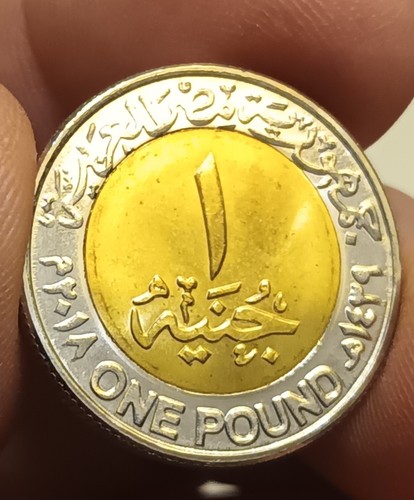 One egyptian poind - egyptian,