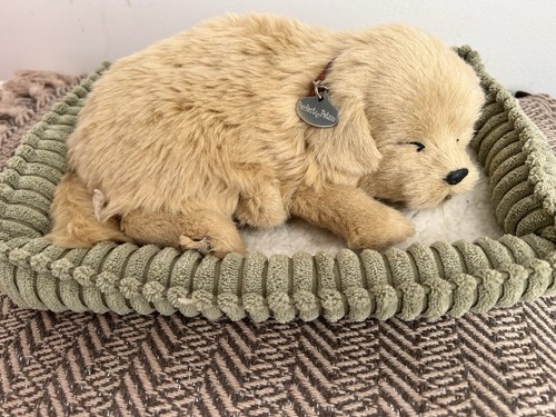Perfect petzzz breathing pet - perfect,