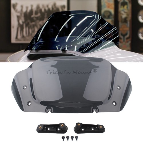 Smoke windshield windscreen - windshield,