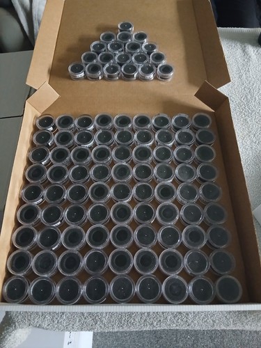 100 padded coin - padded, holders