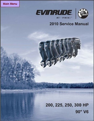 2010 evinrude tec - 2010, 200