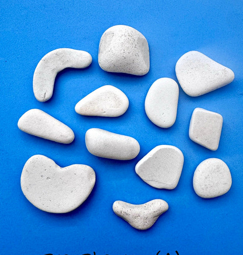 Scottish sea shapes white - scottish,