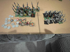 19 Goblin Spearmen  + Spare