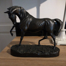 Genesis Mullingar Stallion