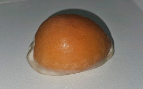 Rare golden cowrie shell - rare,