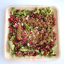 Polly`s Naturals Forage Feast