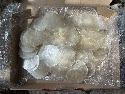 100 natural capiz - natural, shell