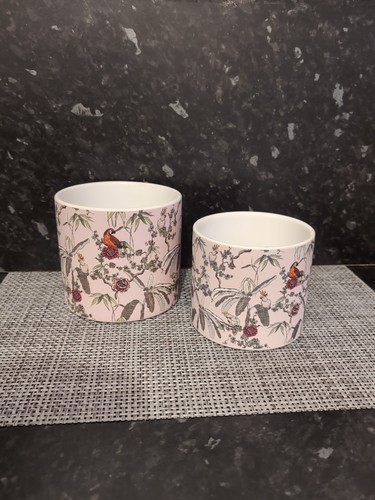 Set two exotic birds - two,