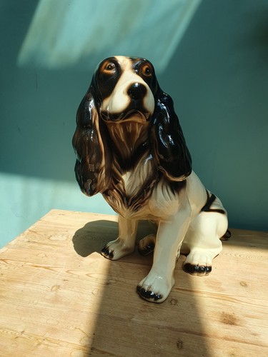 Springer spaniel - springer,