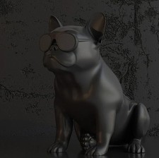 AEROSYSTEM AeroBull XS1