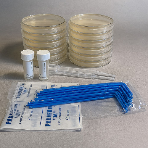 Bacteria science kit petri - kit,