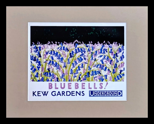 Kew gardens bluebells 1930 - gardens,