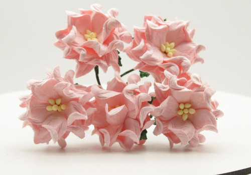 Mulberry paper flower - x,