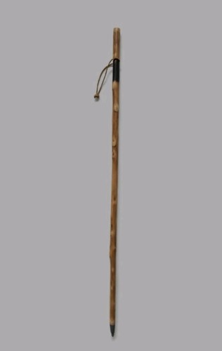 Rustic polished wooden walking - rustic,