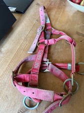 Red dually halter small