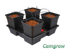 Wilma 4 x 25 litre - -, xl