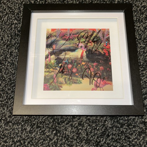 Rival sons framed - rival, :