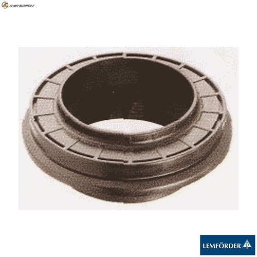 Roller bearing strut support - strut,