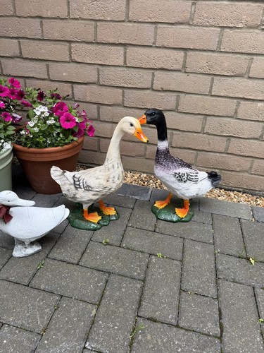 Resin duck garden ornaments - duck,
