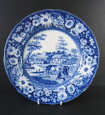 Adams  Blue And White