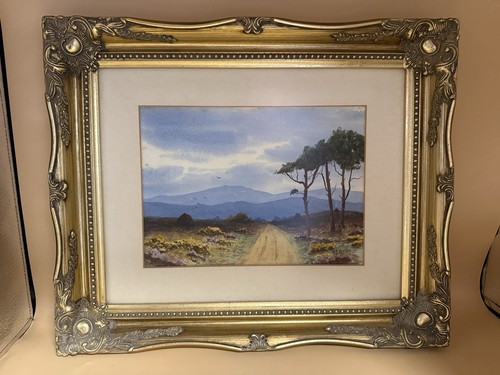 Pair original watercolours - of,