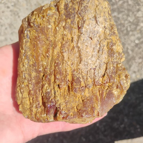 Kauri gum young - young, amber.