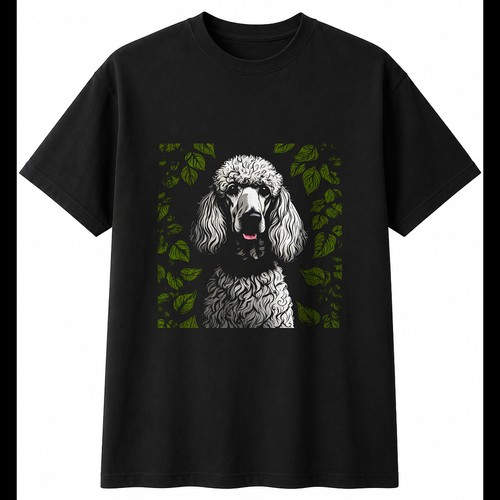 Standard poodle torn - poodle,