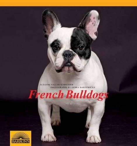 French bulldog complete pet - bulldog:,