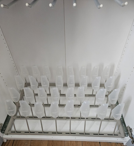 Ikea komplement shoe rack - komplement, for