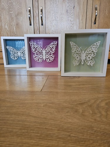 Framed butterflies - framed,