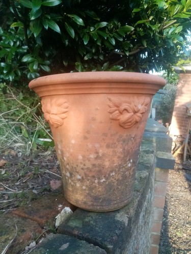 Antique terracotta plant pot - antique,