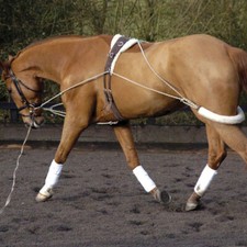 MARK TODD ESSENTIAL LUNGE