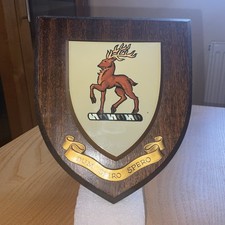 Wooden Shield plaque DUM SPIRO