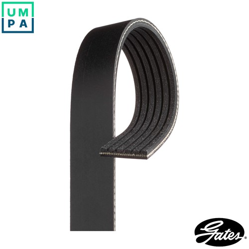 Vribbed belt 6pk955 for skoda - vribbed,