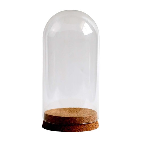 Preserved flower glass cover - preserved,
