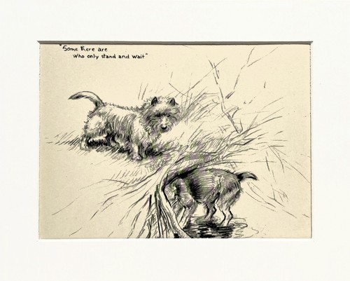 Terriers dog vintage sketch