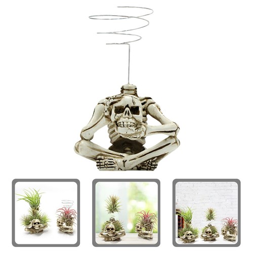 Air plants storage - plants,