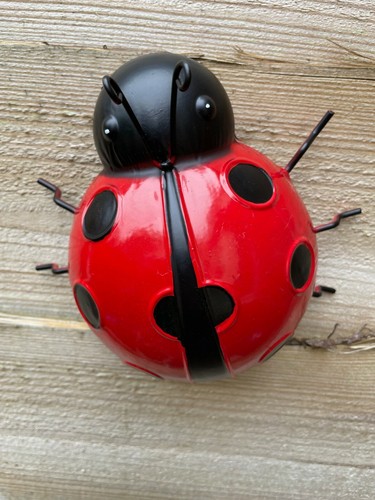 Large ladybird decorative - large,