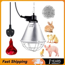 Infrared Heat Lamp Poultry