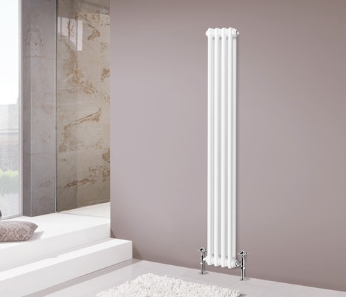 Traditional radiator vertical - traditional,