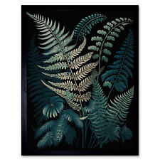 Fern Frond Detailed Botanical