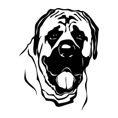 Mastiff english head portrait - head,