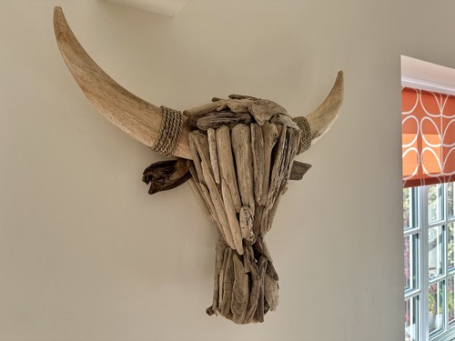 Bull head horns - bull, wood