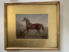 Harry Hall (attributed) Oil On Board Painting Of Blair Athol 19th Century 