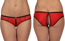 Lace Crotchless Knickers Sheer